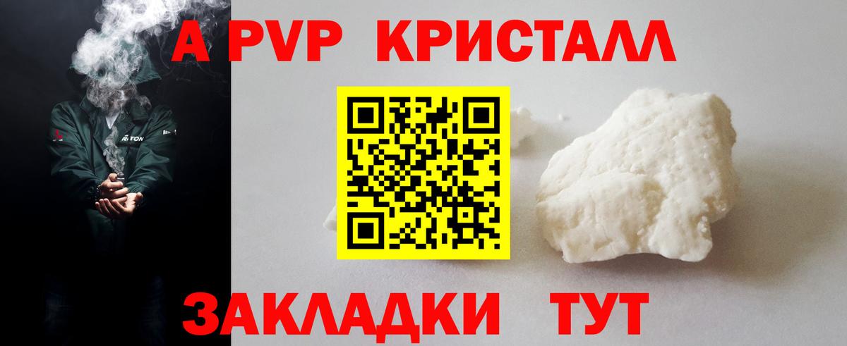 A PVP СК Асино