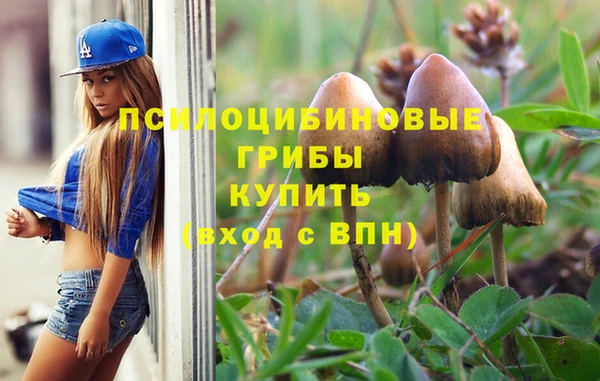 кокаин премиум Осинники