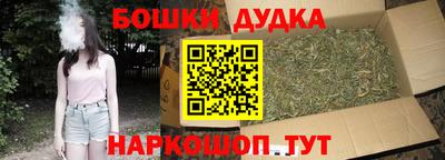 индика Апрелевка